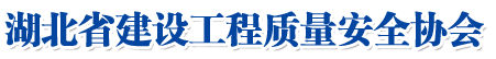 湖北省冰球突破mg正规官网质量安全协会